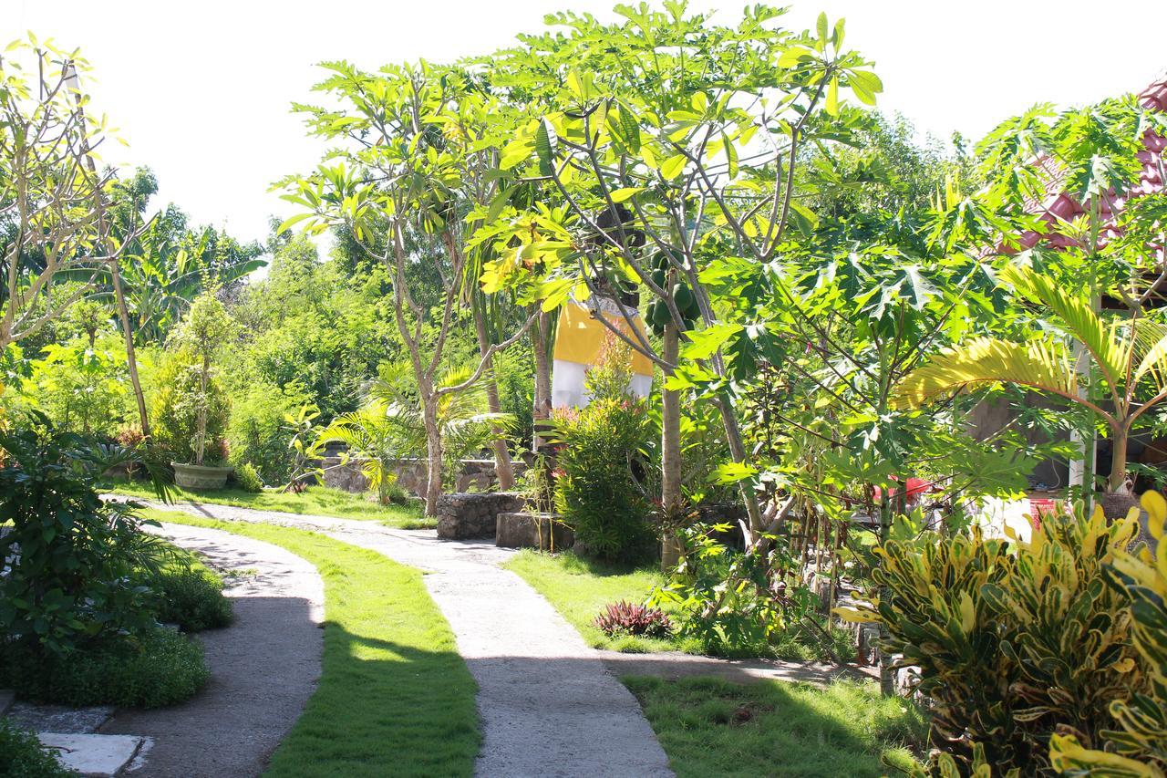 Taman Padi Villa Amed Zewnętrze zdjęcie
