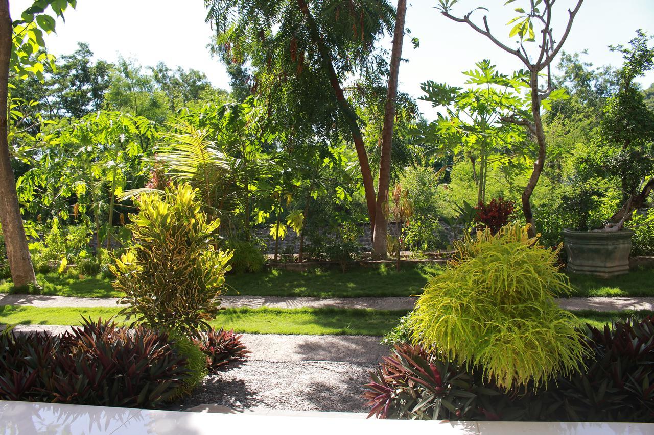 Taman Padi Villa Amed Zewnętrze zdjęcie